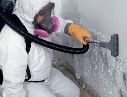 Best HVAC Mold Inspection and Cleaning  in Huntington Station, NY